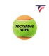 TECNIFIBRE Minitenis x36 PELOTAS | Sertenis