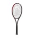 RAQUETA HEAD PRESTIGE TOUR 315 gr | Sertenis