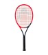 RAQUETA HEAD RADICAL TEAM L 260 gr 2023 | Sertenis