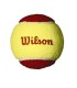 PELOTAS WILSON PUNTO ROJA 36 PACK | SERTENIS